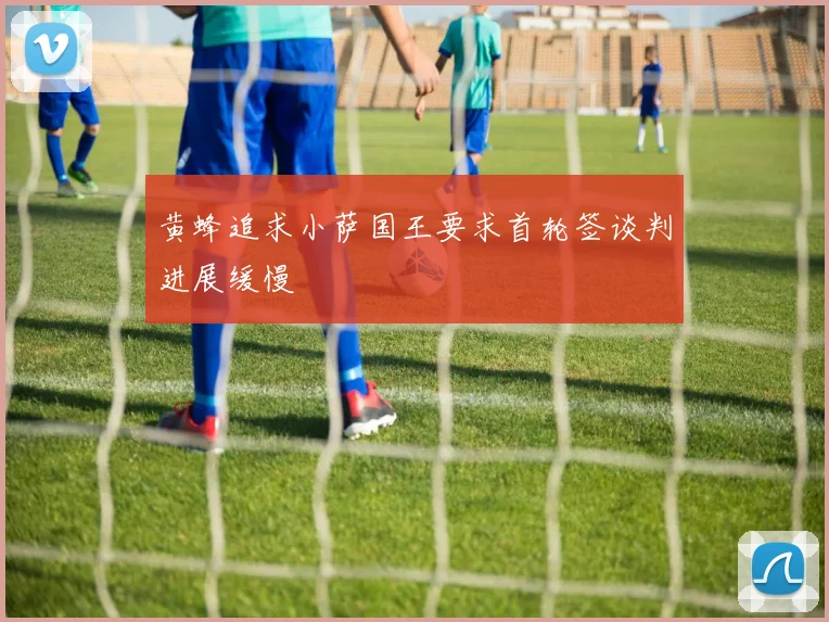 黄蜂追求小萨国王要求首轮签谈判进展缓慢